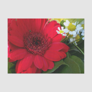 red, green, yellow, white, flower, bloom, gerbera, tissue paper