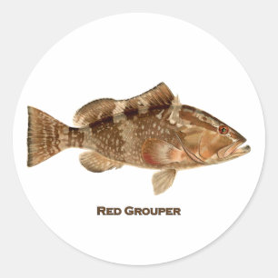 Red Grouper Fish Classic Round Sticker