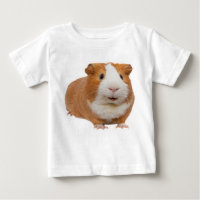 red guinea pig