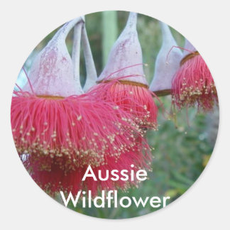 Red Gum Flower Classic Round Sticker