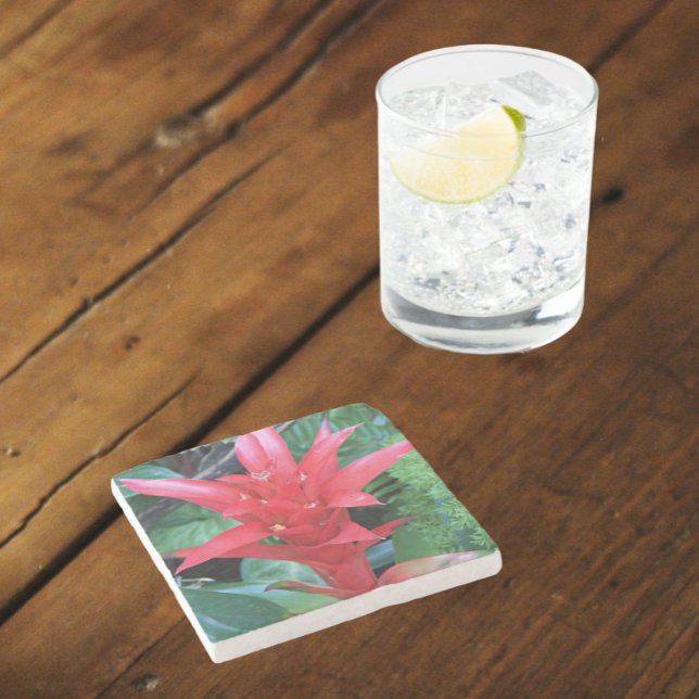 Red Guzmania Bromeliad Floral Stone Coaster (In Situ)