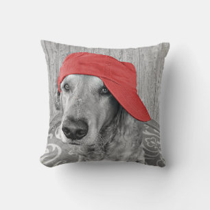 red hat on golden retriever cushion