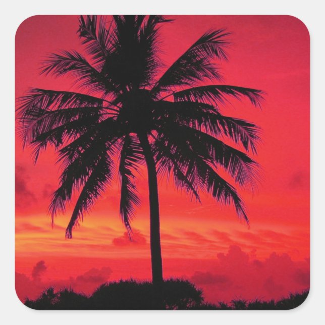 Red Hawaiian Sunset Exotic Palm Trees Square Sticker (Front)