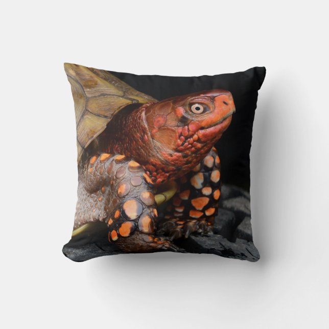 Red Head Eastern Box Turtle Cushion (Front)