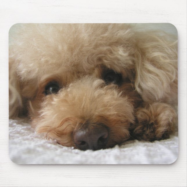 Red Headed Poodle Mouse Pad (Front)