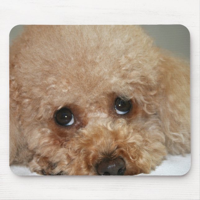 Red Headed Poodle Mouse Pad (Front)
