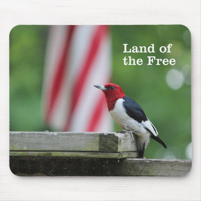 Red-headed Woodpecker 2 Mouse Pad (Front)