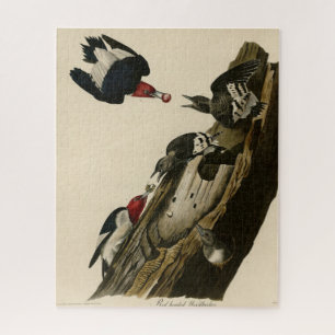 Red headed Woodpecker - Audubon's Birds of America Jigsaw Puzzle