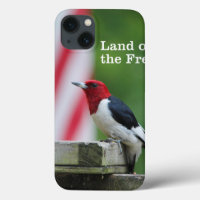 Red-headed Woodpecker