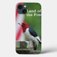 Red-headed Woodpecker