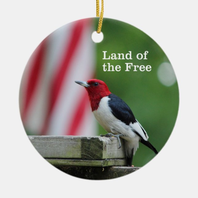 Red-headed Woodpecker Ceramic Ornament (Front)