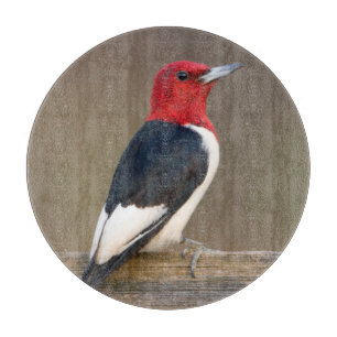 Red-headed Woodpecker on fence Cutting Board