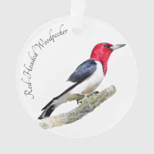 Red-Headed Woodpecker Ornament