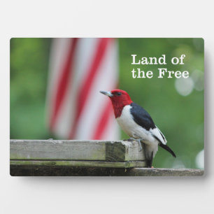 Red-headed Woodpecker Plaque