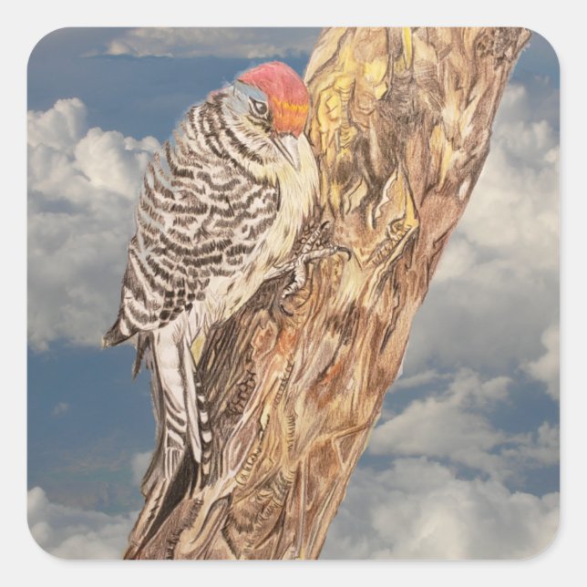 Red Headed Woodpecker  Square Sticker (Front)