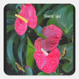 Red Heart Anthurium Plant Square Sticker