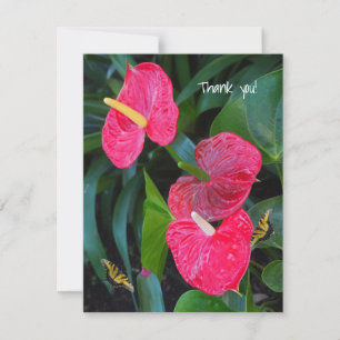 Red Heart Anthurium Plant Thank You Card