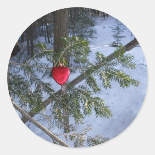 Red Heart Decoration  on Pine Branch Classic Round Sticker