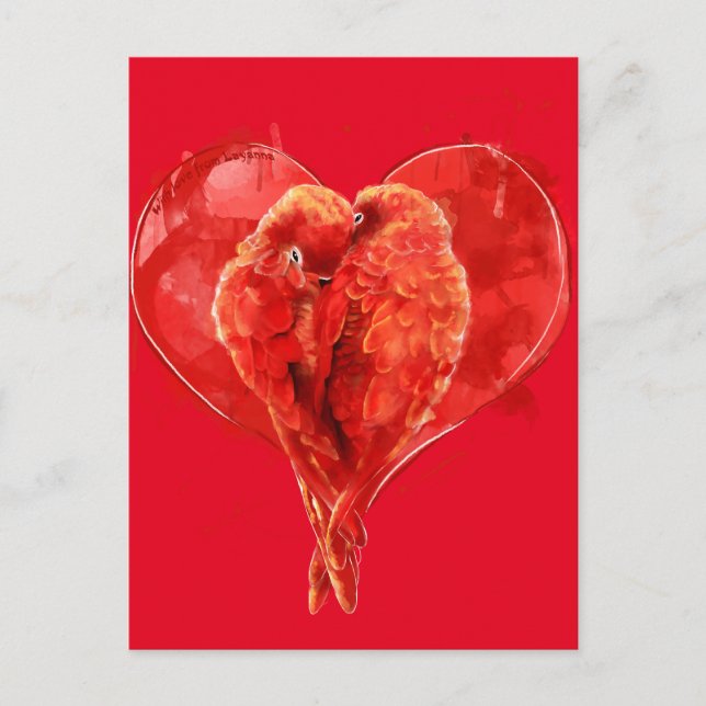 Red heart. Loving parrots. Postcard (Front)