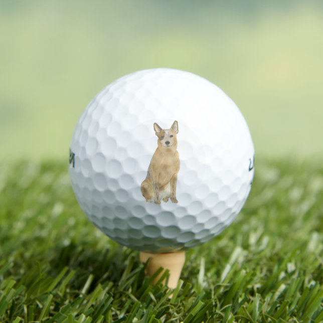 Red Heeler Australian Cattledog Golf Balls (Insitu Tee)