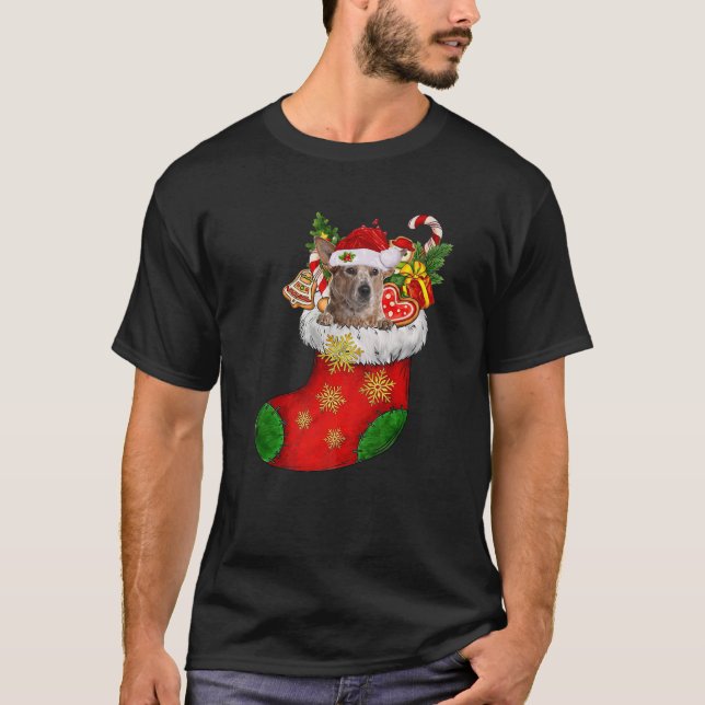RED Heeler In Sock Christmas Santa Hat Xmas Dog Lo T-Shirt (Front)