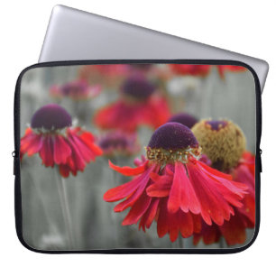 Red Helenium in Selective Colours - Desaturated Laptop Sleeve