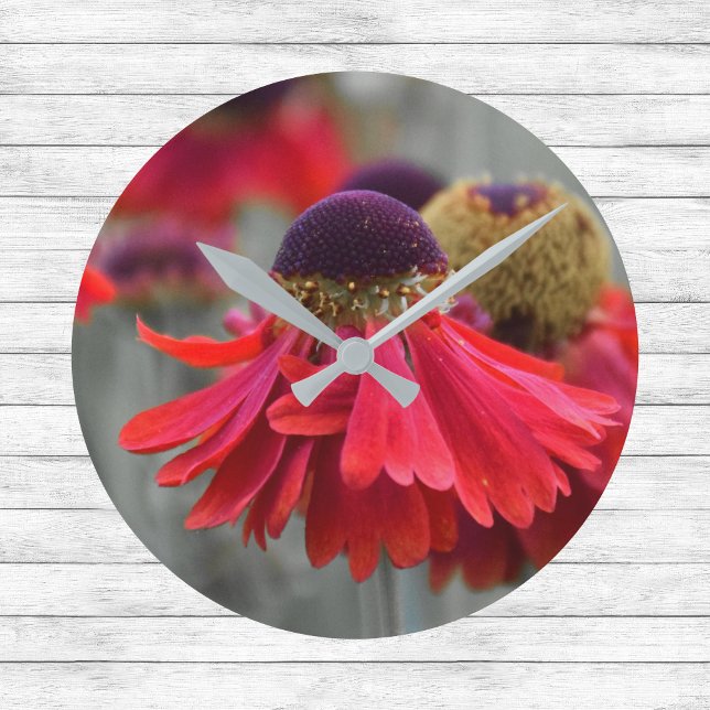 Red Helenium in Selective Colours - Desaturated Round Clock (Creator Uploaded)