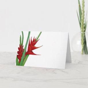 Red Heliconia Watercolour Card