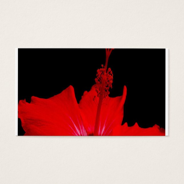 Red Hibiscus (Front)