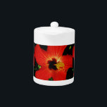 Red Hibiscus<br><div class="desc">Red Hibiscus Hibiscus is a tropical flowering plants in the mallow family, . Send a message to sandycloss@gmail.com if you would like to see any of these designs on a product not shown. I will gladly make a custom-made product just for you. To Search for a particular product, just type...</div>