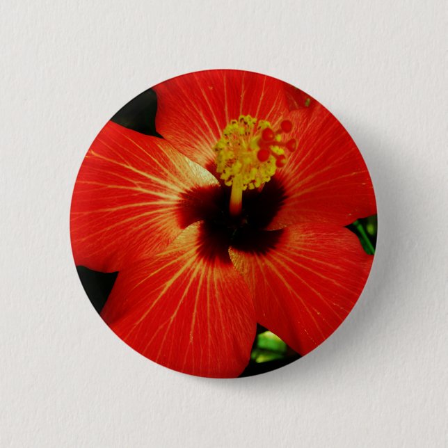 Red Hibiscus 6 Cm Round Badge (Front)
