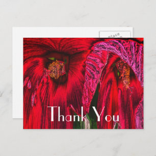 Red Hibiscus Abstract Floral Thank You Postcard