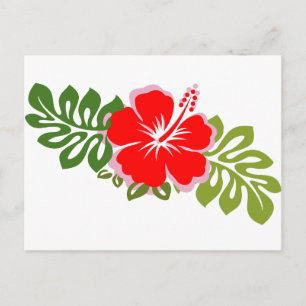 Red Hibiscus and Leaves Postcard