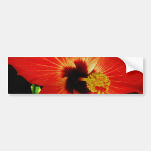 Red Hibiscus Bumper Sticker