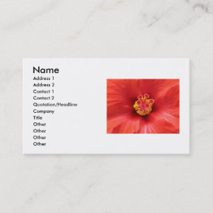 Red Hibiscus Business Card