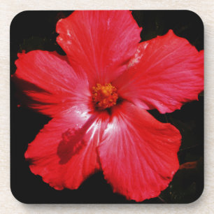Red Hibiscus Coaster