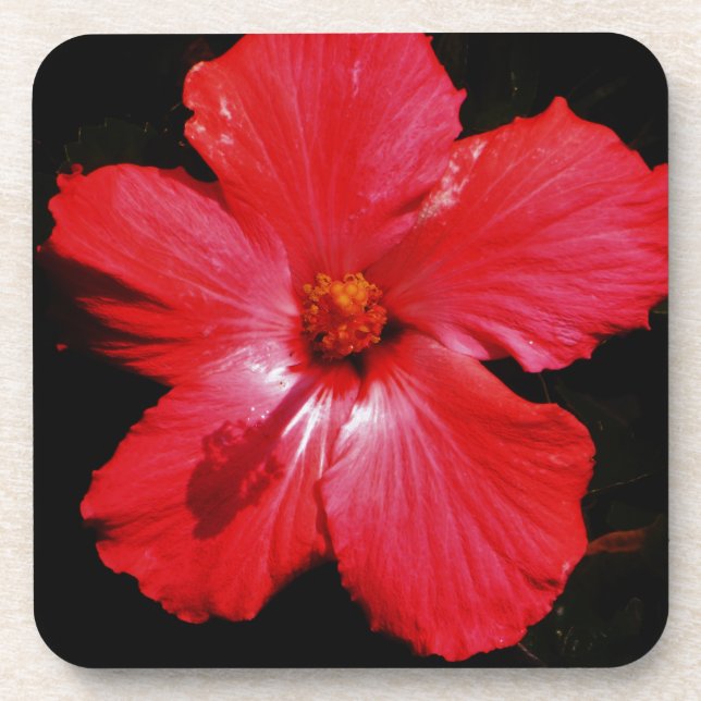 Red Hibiscus Coaster (Front)