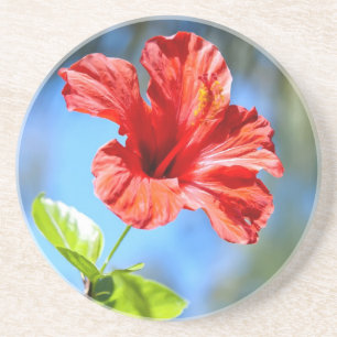 Red Hibiscus Coaster