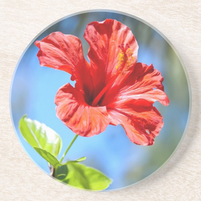 Red Hibiscus Coaster (Front)
