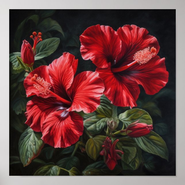 Red Hibiscus Flower Art Print Poster (Front)
