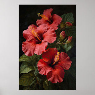 Red Hibiscus Flower Art Print Poster