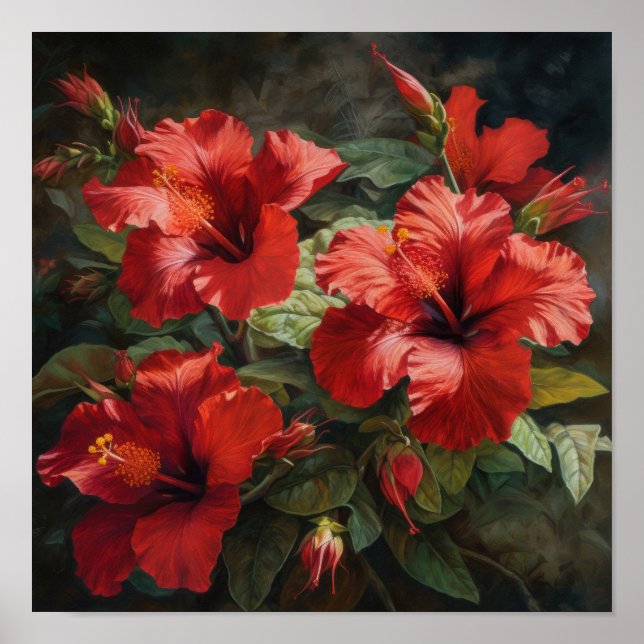 Red Hibiscus Flower Art Print Poster (Front)