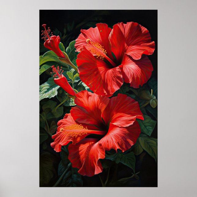 Red Hibiscus Flower Art Print Poster (Front)