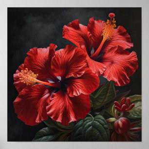 Red Hibiscus Flower Art Print Poster