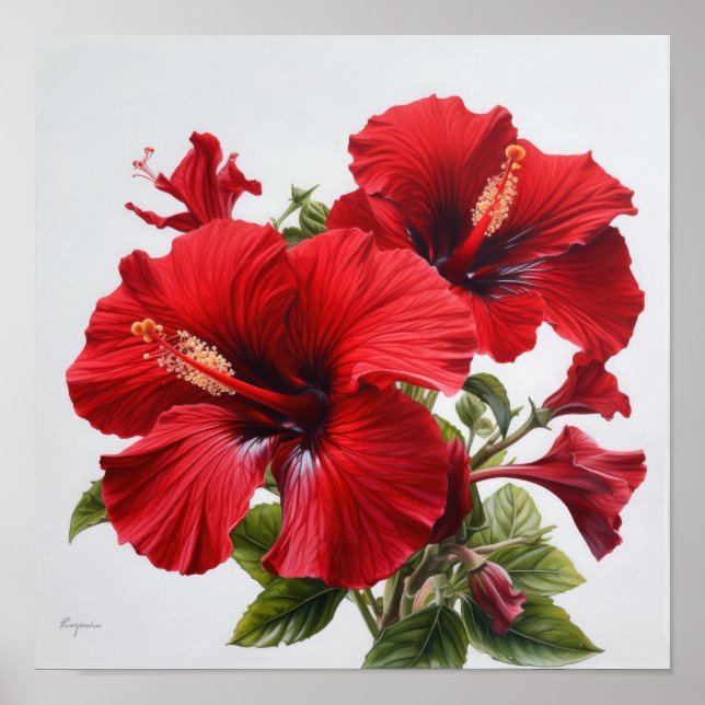 Red Hibiscus Flower Art Print Poster (Front)
