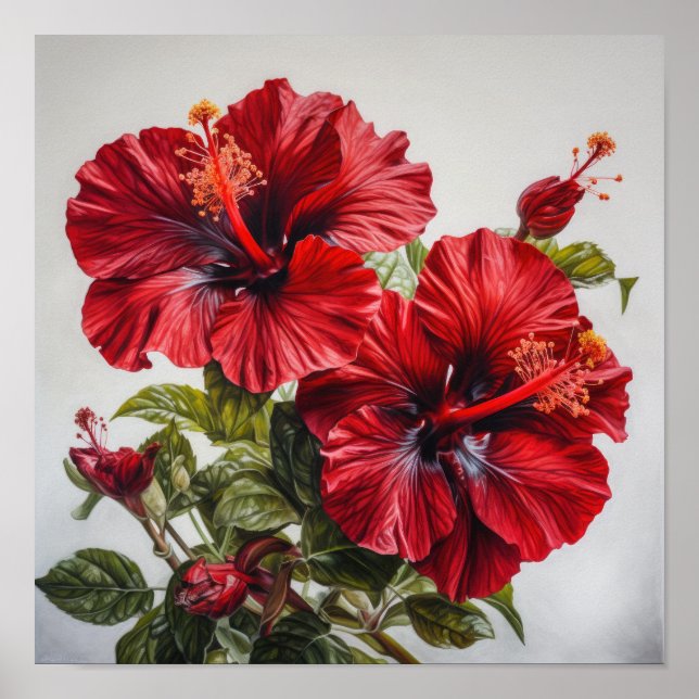 Red Hibiscus Flower Art Print Poster (Front)