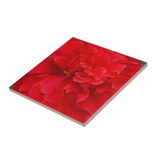 Red hibiscus flower ceramic tile (Side)