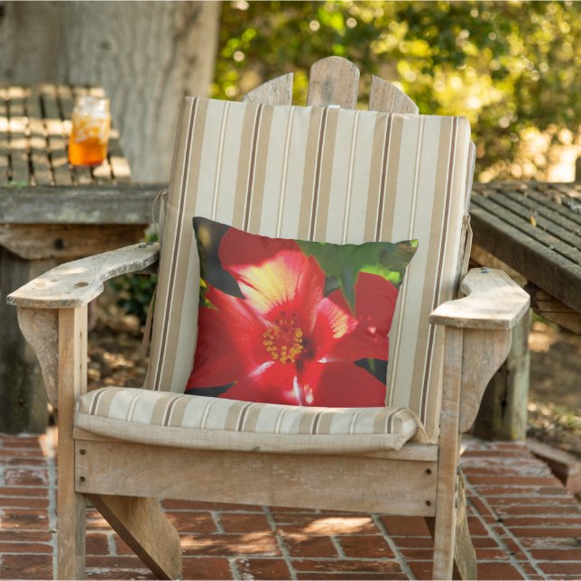 Red Hibiscus Flower in Sunlight Cushion (Chair)