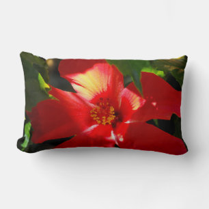 Red Hibiscus Flower in Sunlight Lumbar Cushion