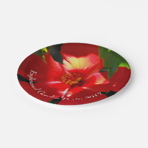 Red Hibiscus Flower in Sunlight Paper Plate